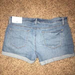 LOFT Shorts - NWT loft shorts LOFT Shorts - NWT loft shorts